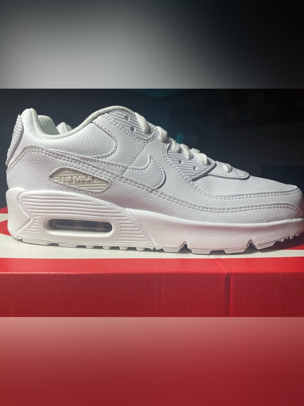 Nike Air Max 90 LTR White Metallic Silver 7Y -8.5W